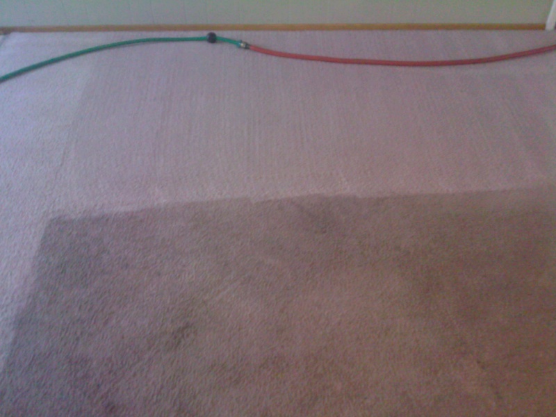 The Best of Trashed Carpet - Page 5 01261011
