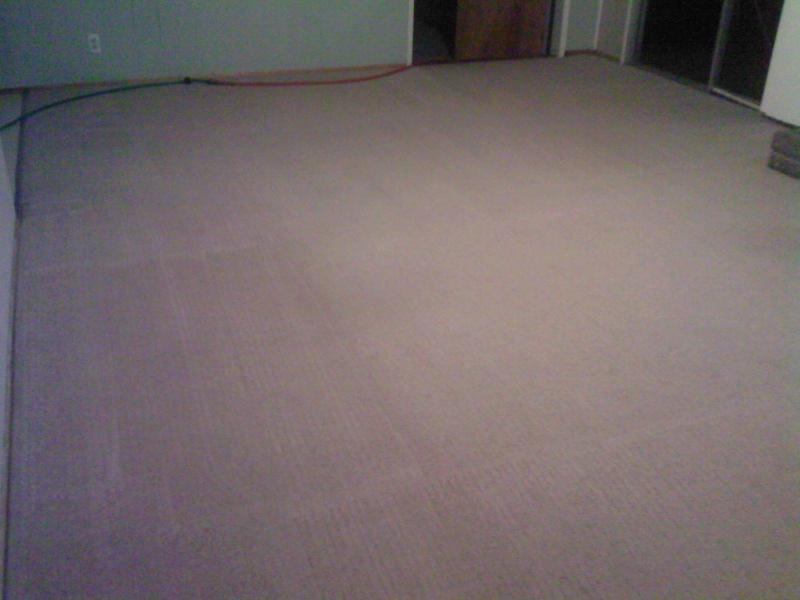 The Best of Trashed Carpet - Page 5 01261012