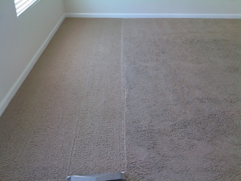 apartment carpet cleaning 09240910