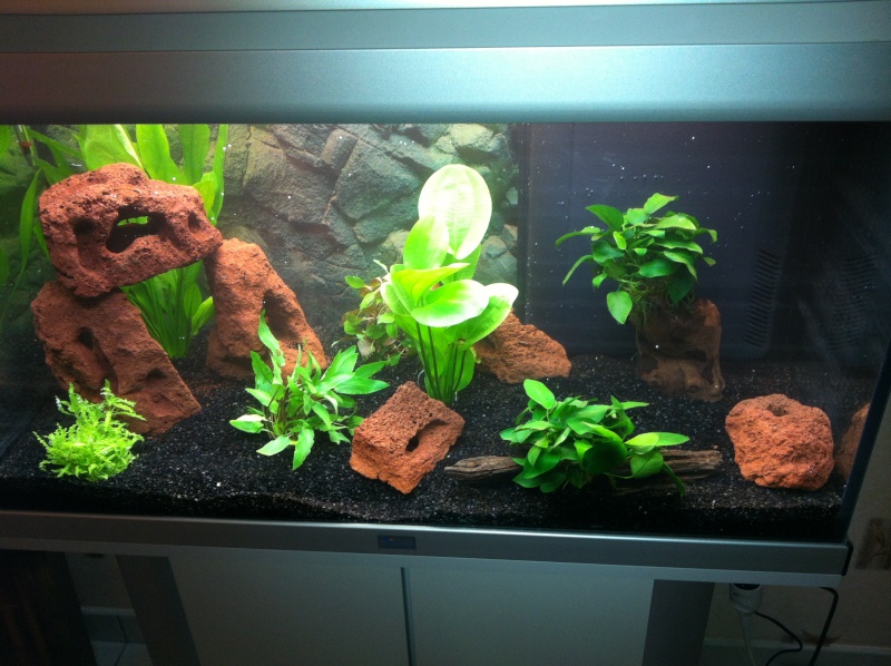 Aquarium 95l Aquari10