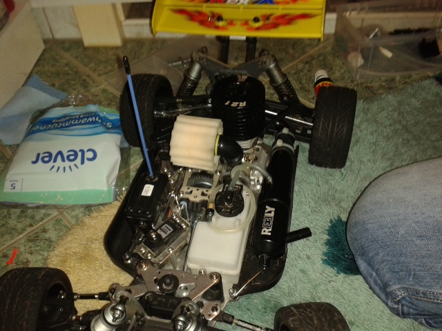Mein Reely Rex-X 20131111