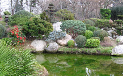 Les jardins japonais. Jardin10