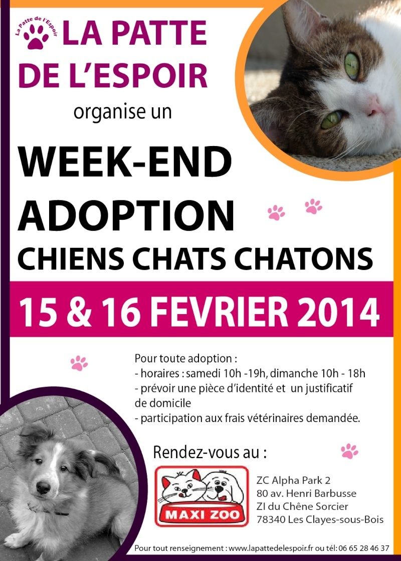 Week-end ADOPTIONS-BOUTIQUE les 15 et 16 février 2014, MAXIZOO, Les Clayes-sous-Bois (78) 2014-012