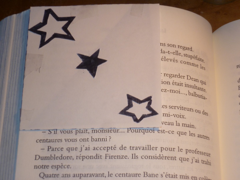 Vos créations partie 2 - Page 9 P1030317