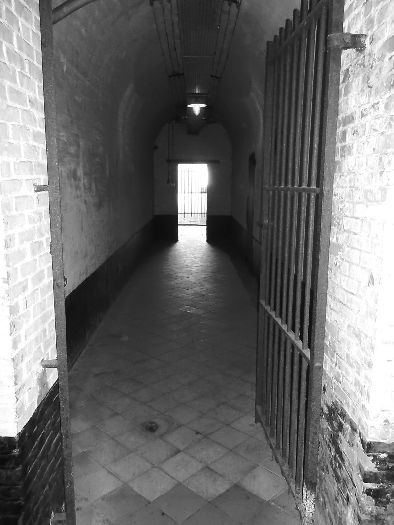Visite du fort de Breendonk (camp de concentration)  Sam_0825