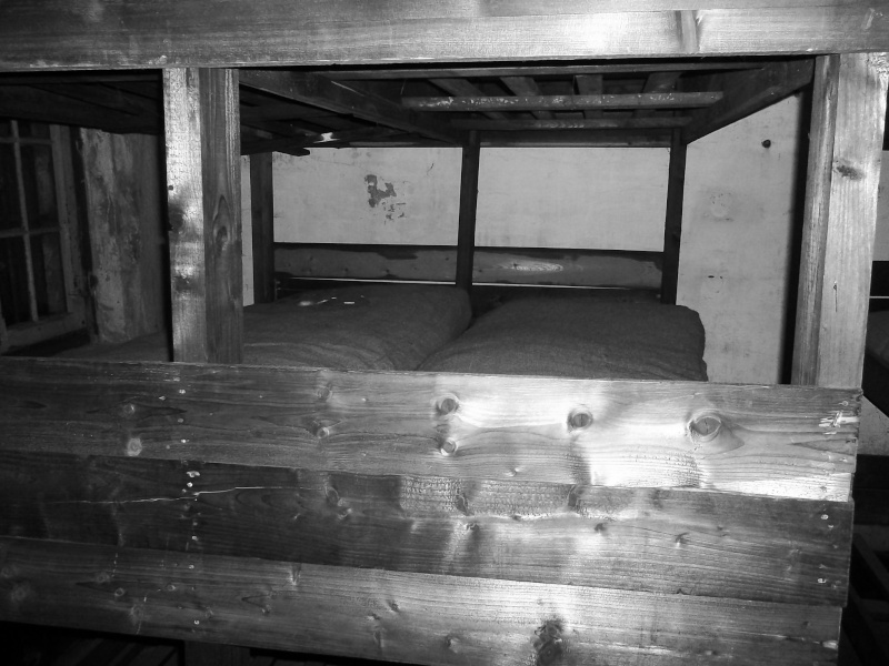 Visite du fort de Breendonk (camp de concentration)  Sam_0827