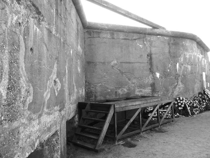 Visite du fort de Breendonk (camp de concentration)  Sam_0845