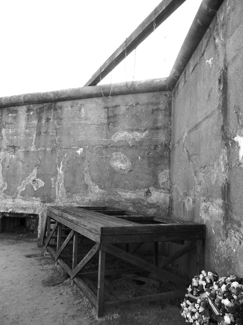 Visite du fort de Breendonk (camp de concentration)  Sam_0846