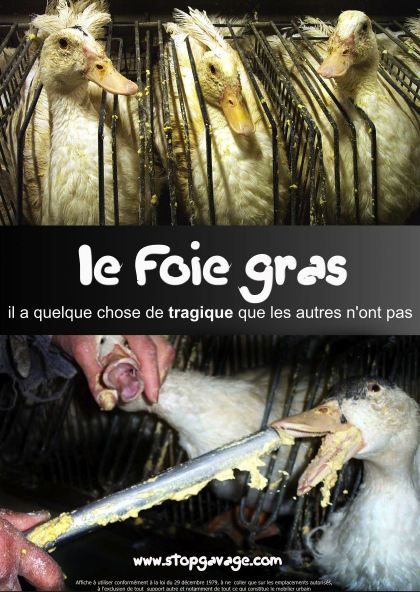 A BOYCOTTER - Le Foie Gras Foie-g10