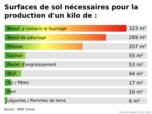 Le végétarisme - 3 : Impact sur l'environnement Surfac10