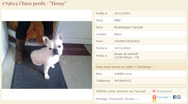 Henry Perdu / 22 Henry10