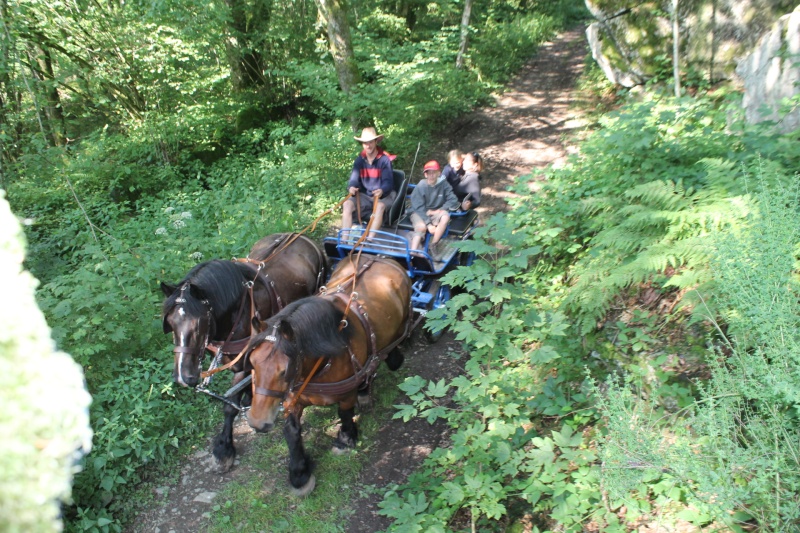 ardennais et la marthon Img_0810