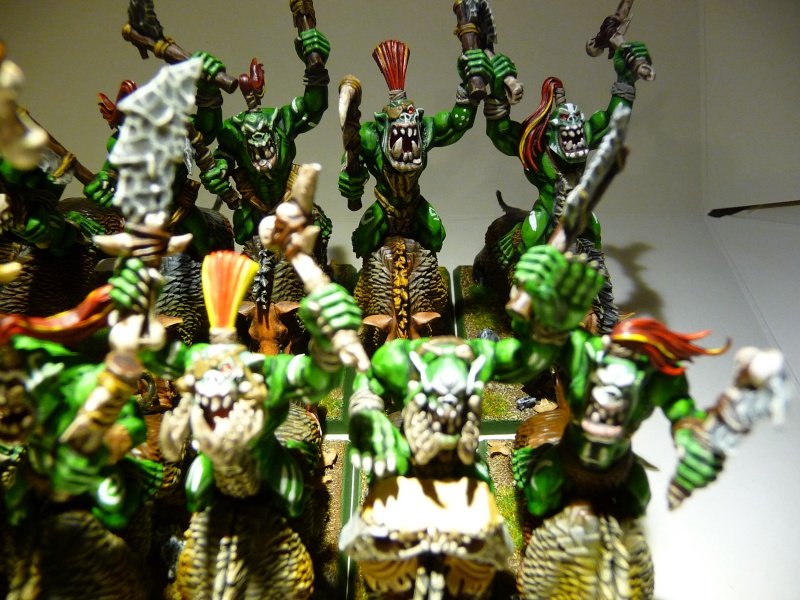 la waaagh de sect!!!!!!!!!!!!!! - Page 4 P1070013