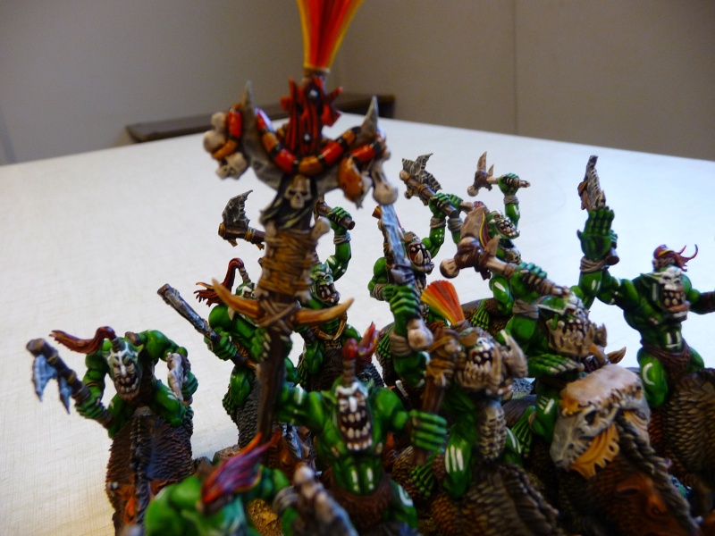 la waaagh de sect!!!!!!!!!!!!!! - Page 5 P1070025