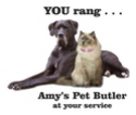 Professional Pet Sitting Services: Amys Pet Butler 25929_11