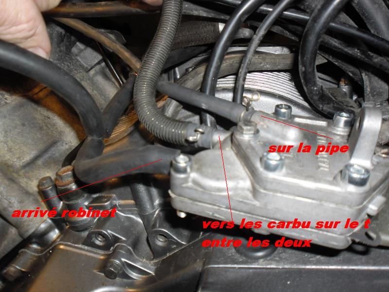 HELP URGENT Fz_00310
