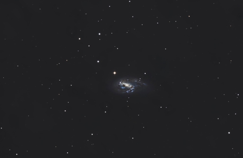 m66 galaxie dans le Lion M66_lr12