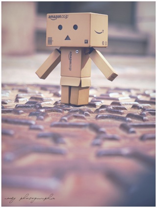 Danbo 87364111