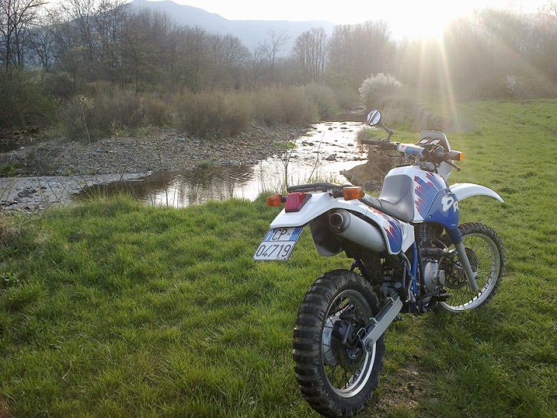 DR 650 R '92 - Federico da Torino - Pagina 2 19628610