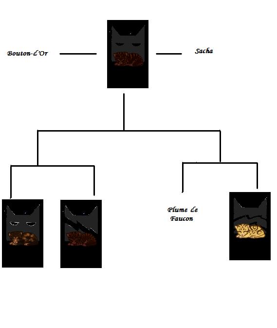 Arbre généalogique d'Étoile du Tigre Arbre_10