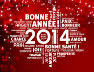 Bonne année ! Annae11