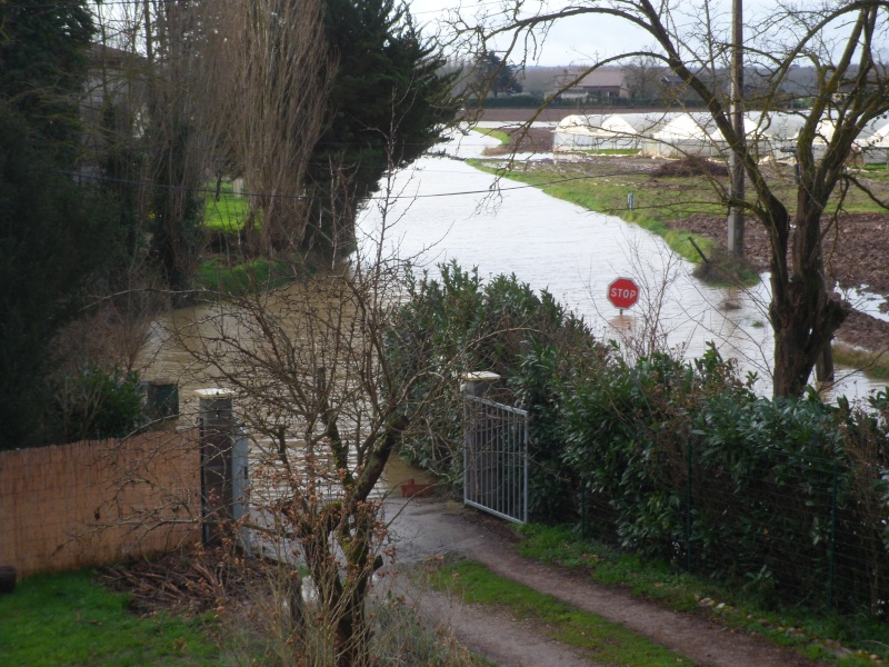 Alerte à la crue de la Garonne - Inondation - Page 2 Sam_3110