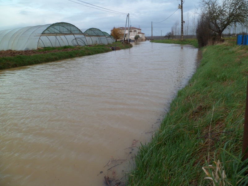 Alerte à la crue de la Garonne - Inondation - Page 2 Sam_3113