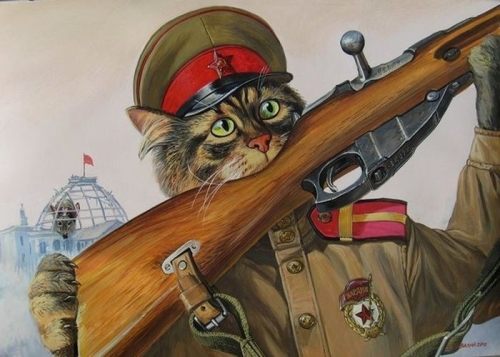 Cats durig the war. Cat fighst. War og cats and dogs. 00712910