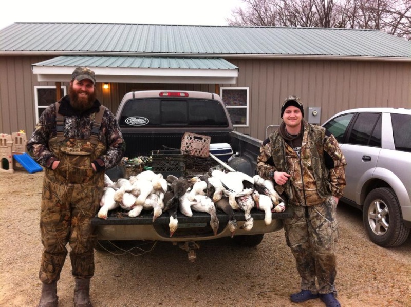 Conservation Order goose hunt 16227610