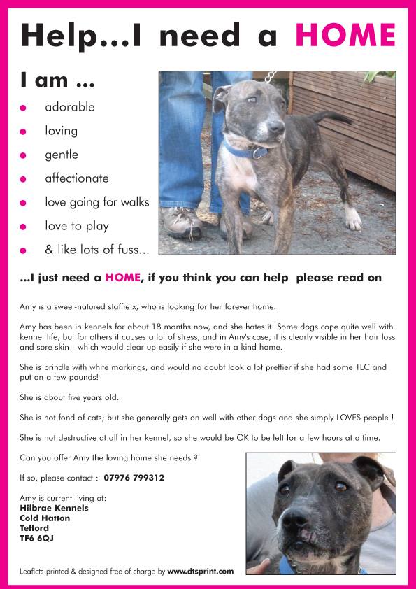 What is Amy?? Staffie or a Cross? Amyhom12