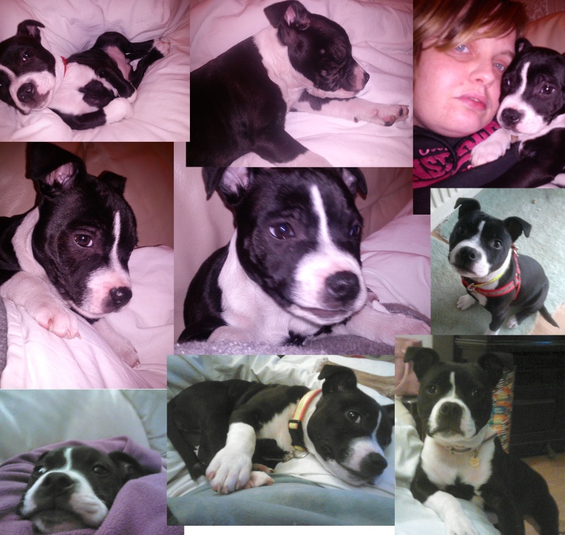 Squirty - 6 months old today!!  Collag10