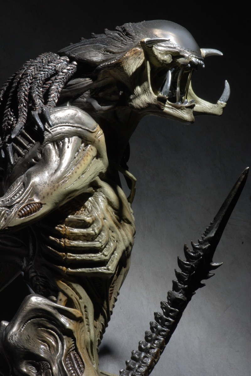 Collection n°490 : zezedaz - ALIEN & PREDATOR Dsc_7014