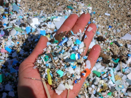 Local Artist Tackles Ocean Trash Plasti10
