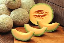 Cantaloupe and Its Minerials and Vitamins Content Cantal10