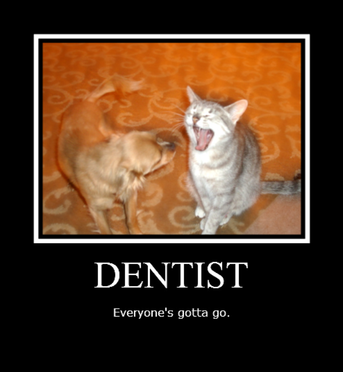Funny Animal Photos - Page 30 Dentis10