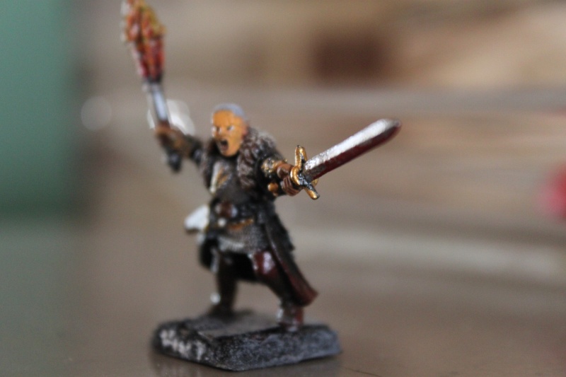 witch - My Witch Hunter Warband so far Img_7213