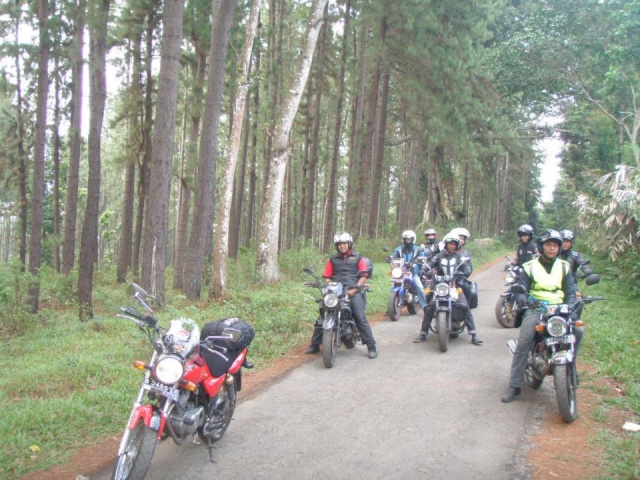 TOURING GUCI BREBES 19739810