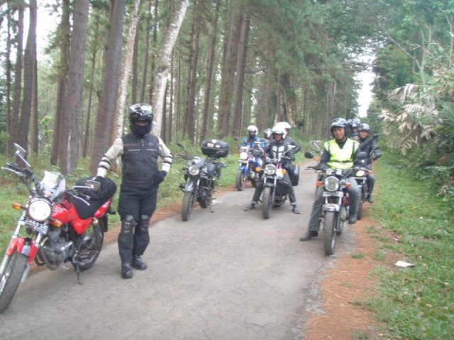 TOURING GUCI BREBES 31412010