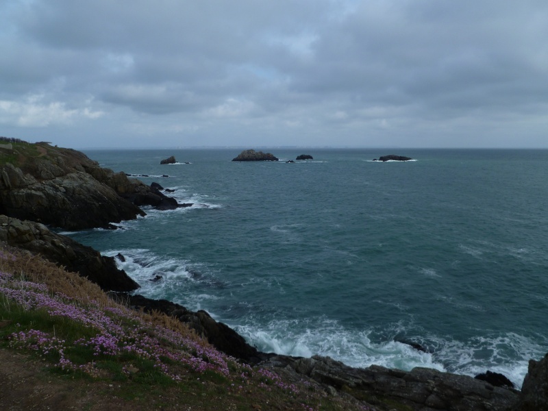 Mon petit séjour en Bretagne  P1080610