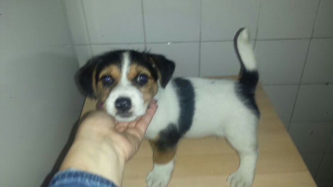 Manca poco ai due mesi! Gina1010