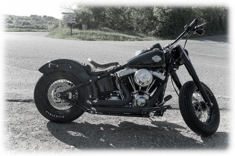 Combien de Softail sur le forum Passion-Harley - Page 11 24042032