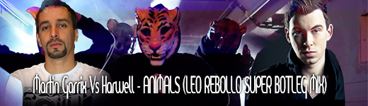 Martin Garrix VS Harwell A.N.I.M.A.L.S.(Leo Rebollo Super Botleg Mix)  Animal11
