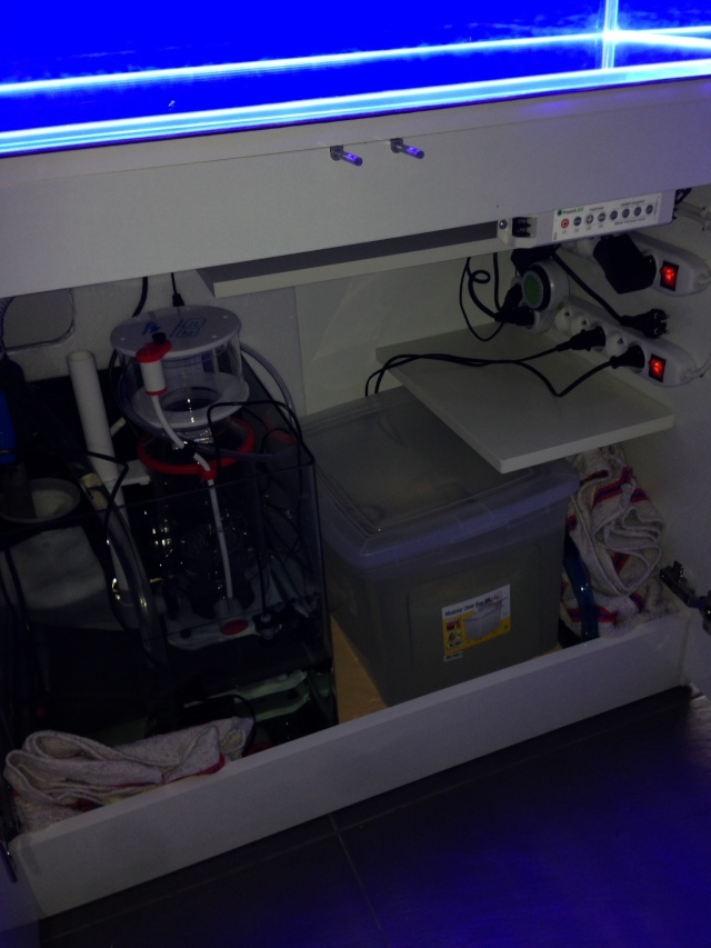 Le 1er Bac 230L de Yakuzi Image16