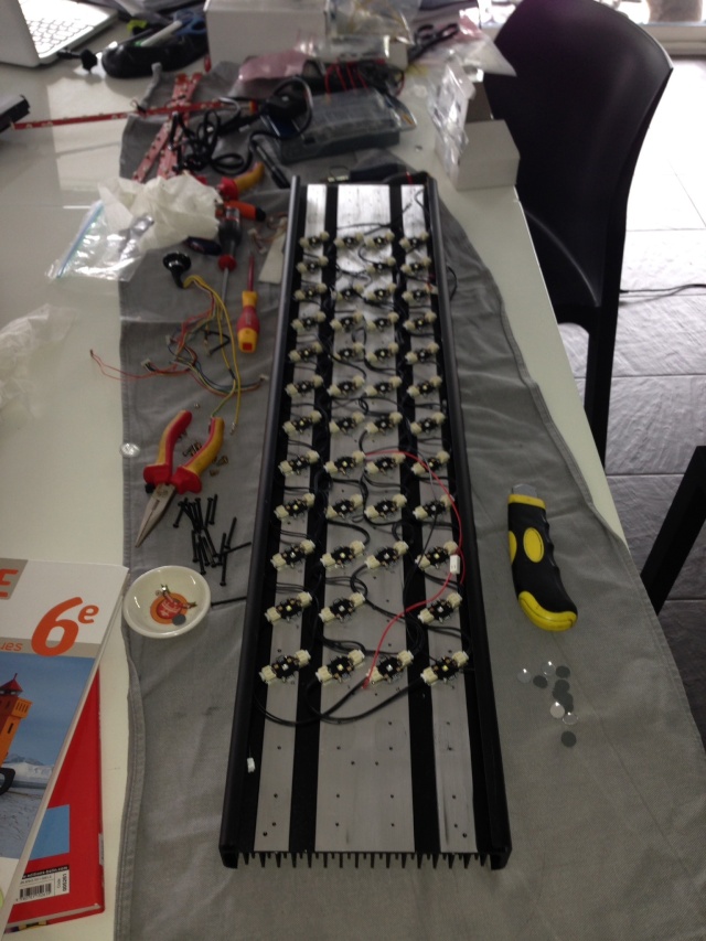 Le 1er Bac 230L de Yakuzi Image20