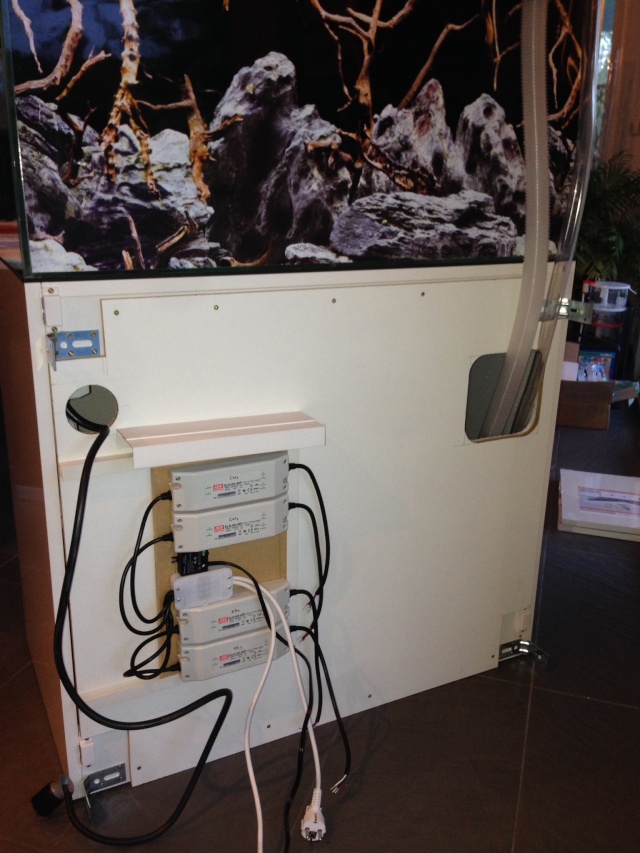 Le 1er Bac 230L de Yakuzi Image21