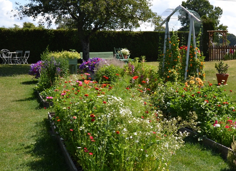 Un petit tour d'horizon de notre jardin...... 005_8020