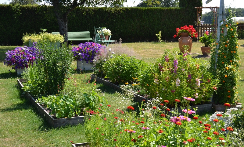 Un petit tour d'horizon de notre jardin...... 008_8013