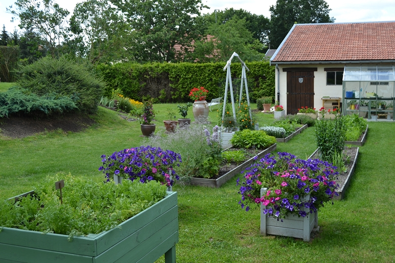 Un petit tour d'horizon de notre jardin...... 099_8010