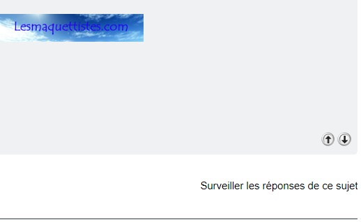   ASTUCE........Comment surveiller un sujet Captur31