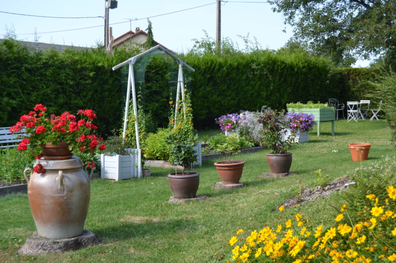 Un petit tour d'horizon de notre jardin...... Dsc_9712